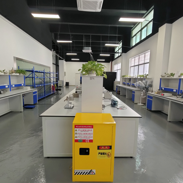 Laboratorio de seguridad