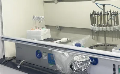 Vamos a hacer un seguimiento de su prueba